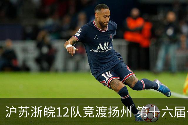 沪苏浙皖12队竞渡扬州 第十六届长三角龙舟赛擂鼓开桨
